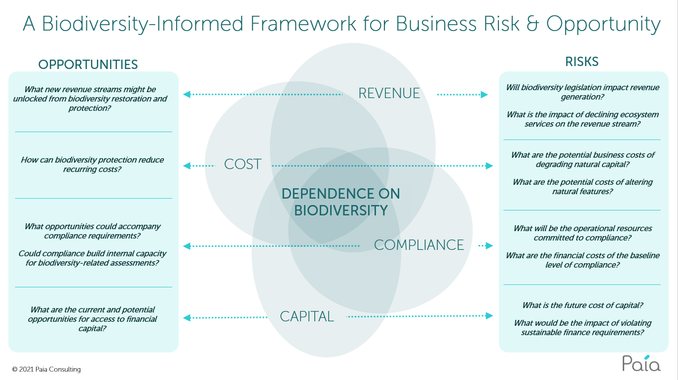 Biodiversity - Informed Framework for Business Risk and Opportunity Infographic